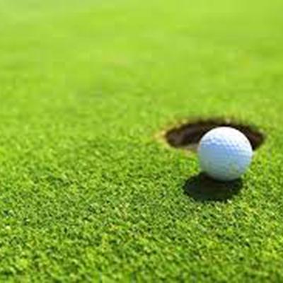 Cỏ sân golf là gì? Phân loại các loại cỏ sân golf