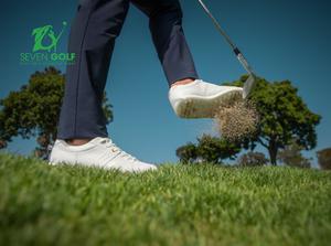 Những lý do nên chọn giầy golf Ecco nam