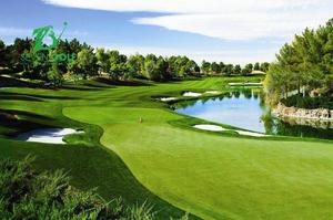 Bảng giá sân golf khu vực thành phố hồ chí minh mới nhất 2023
