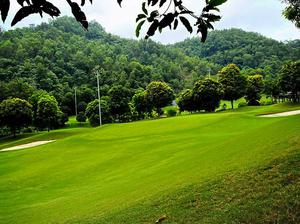 Sân Golf Hilltop Valley Kỳ Sơn - Một thách thức đầy thú vị dành cho các golfer
