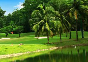 Việt Nam Golf & Country Club (Sân Golf Thủ Đức): Sân Golf Với Truyền Thống Lâu Đời