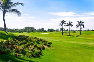 Royal Island Golf & Villas: Đẳng Cấp Sân Golf Và Nghỉ Dưỡng Tại Việt Nam