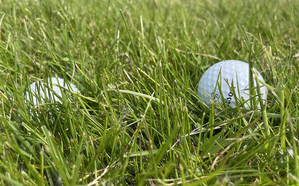 Flyer (Danh từ): Bóng nằm trong cỏ dày (Cỏ Rough)