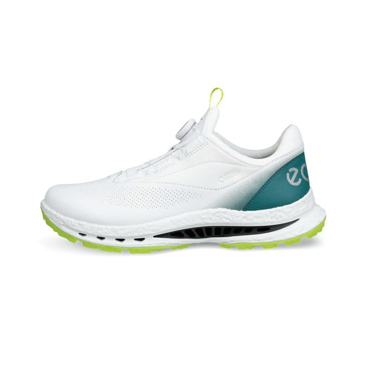 Giày Golf Nam ECCO M Golf Biom C5 13261461475